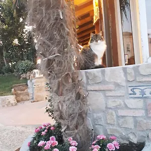  Bed & Breakfast Perla